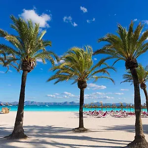 Corales De Mar, At Beach Alcudia (Mallorca)